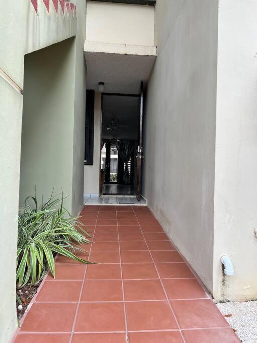Entire Beach Apartment With View To El Yunque National Rain Forest Rio Grande Εξωτερικό φωτογραφία